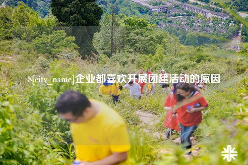 吐鲁番企业都喜欢开展团建活动的原因